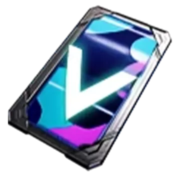 Custom Server: 10 person-30 days Rental 