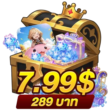 289 บาท (7.99$)