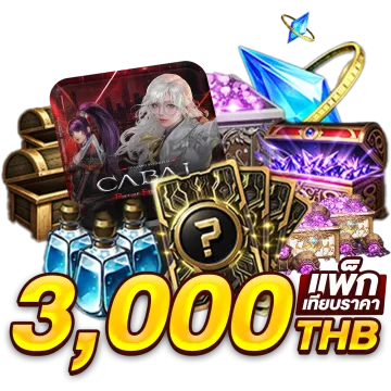 3000 THB